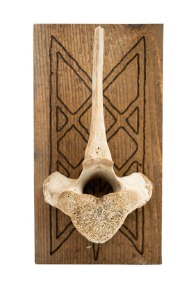 Web of Wyrd Elk Vertebra Wall Hanger