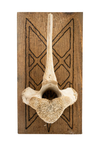 Image of Web of Wyrd Elk Vertebra Wall Hanger