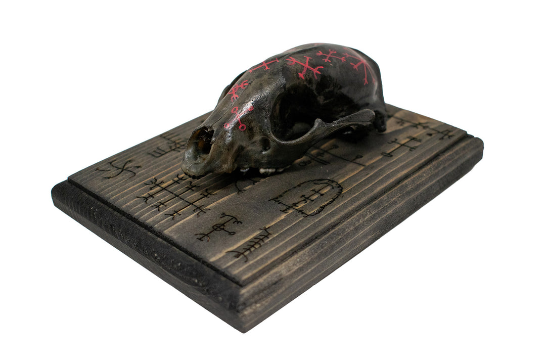 icelandic magical stave raccoon skull wall hanger