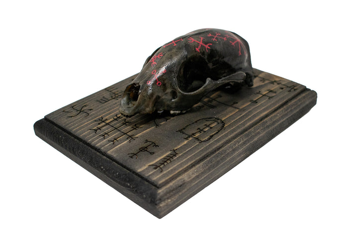 icelandic magical stave raccoon skull wall hanger