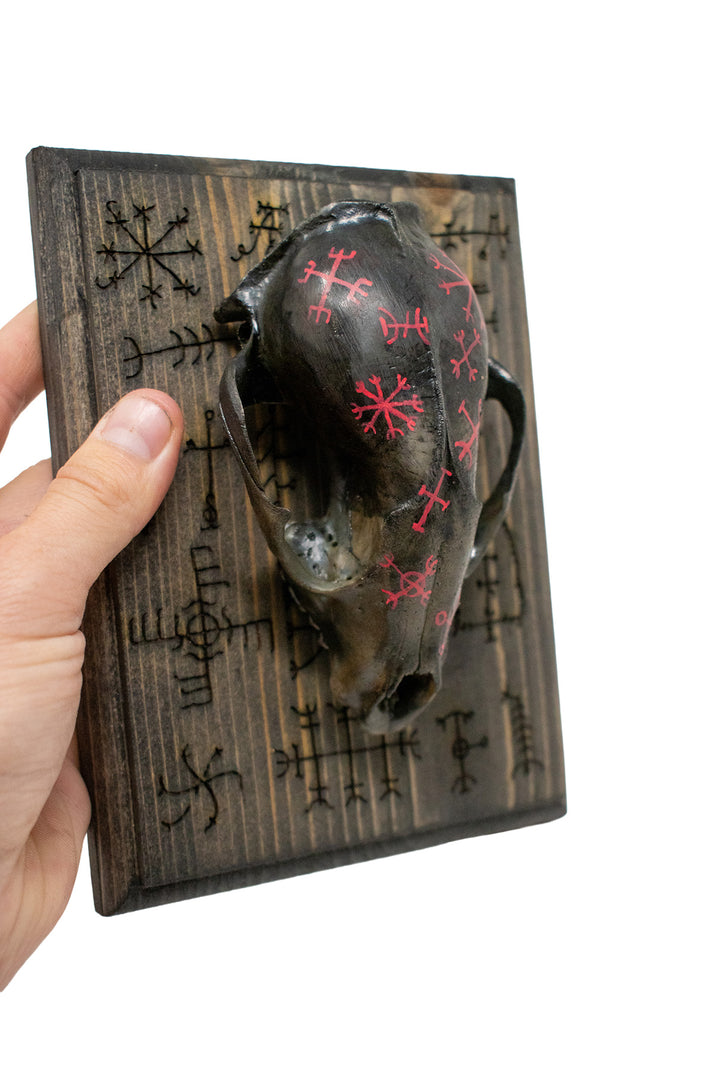 icelandic magical stave raccoon skull wall hanger