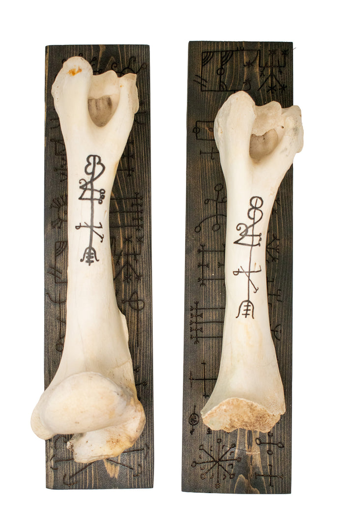 lukkstafir elk leg bone wall hanger