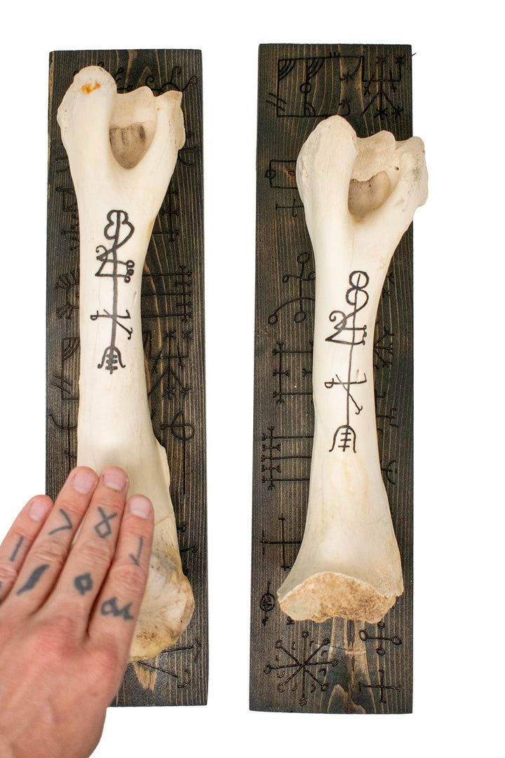 lukkstafir elk leg bone wall hanger