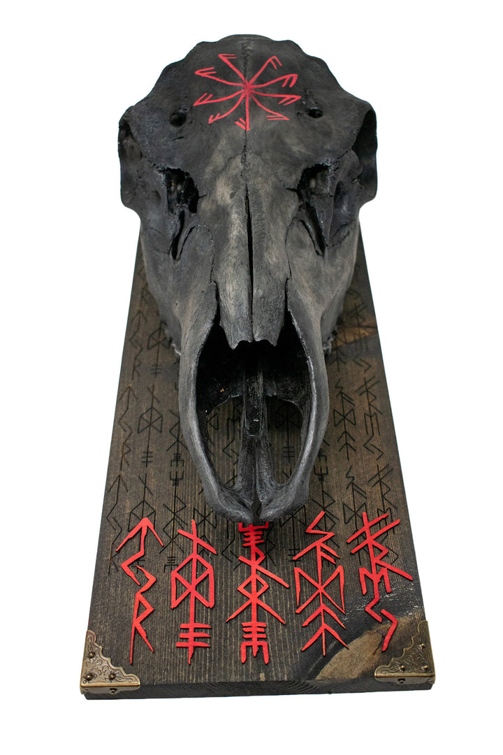 blackened elk skull connection to the gods wall hanger