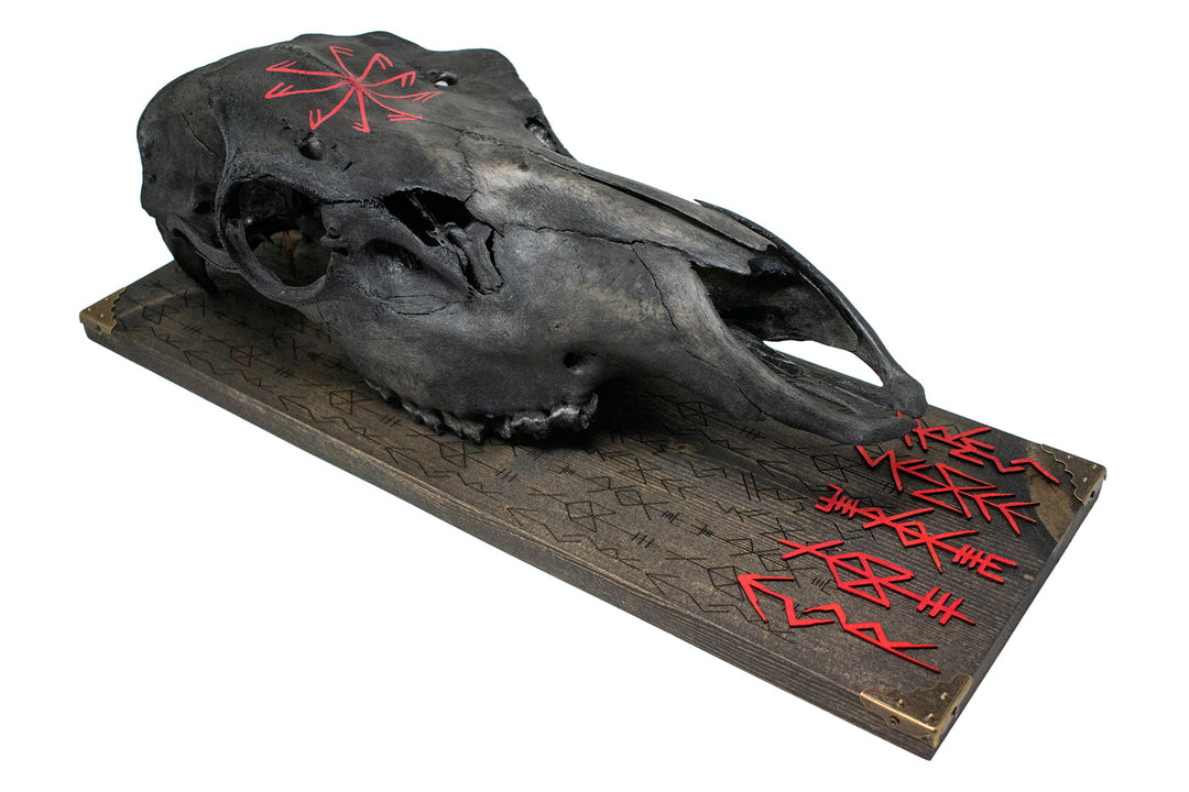 blackened elk skull connection to the gods wall hanger