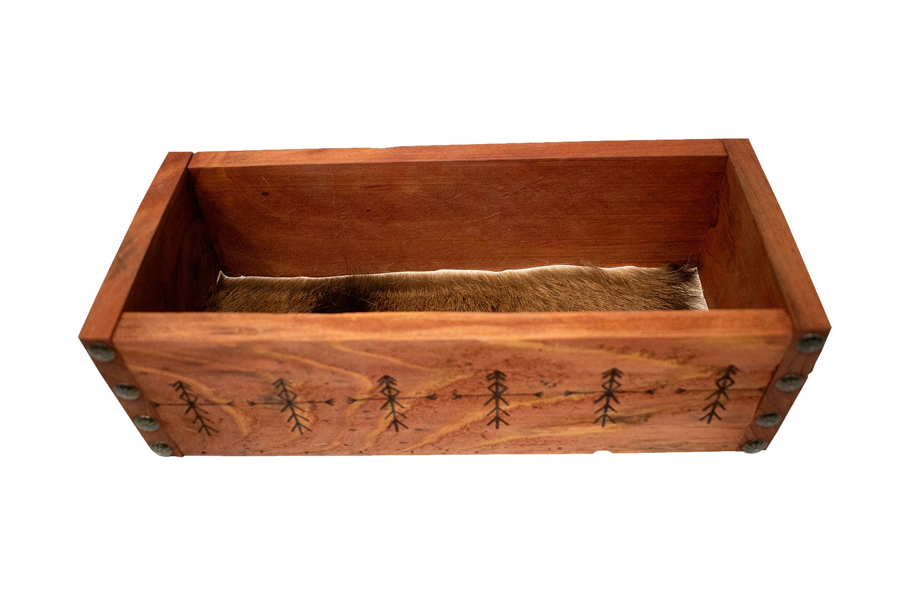 Home Protection Bindrune Goat Hide Lined Box