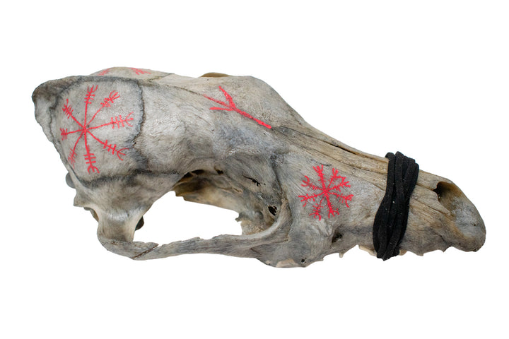 helm of awe coyote skull mausoleum altar