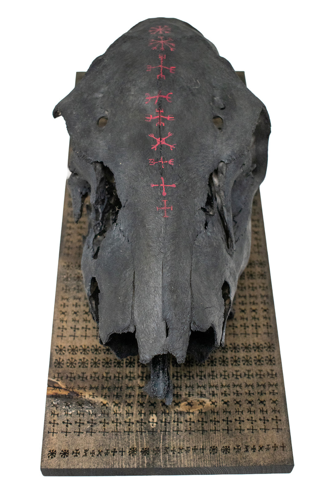 nine helms of awe blackened elk skull wall hanger