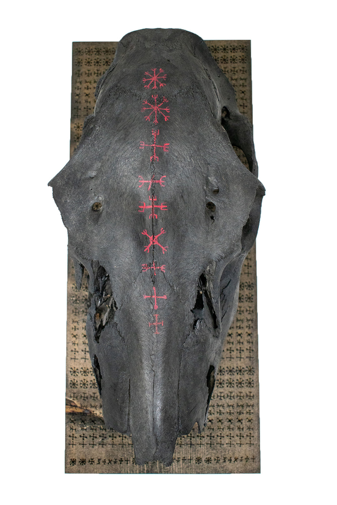 nine helms of awe blackened elk skull wall hanger