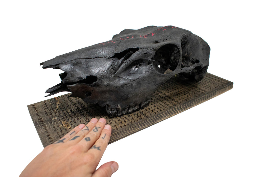 nine helms of awe blackened elk skull wall hanger