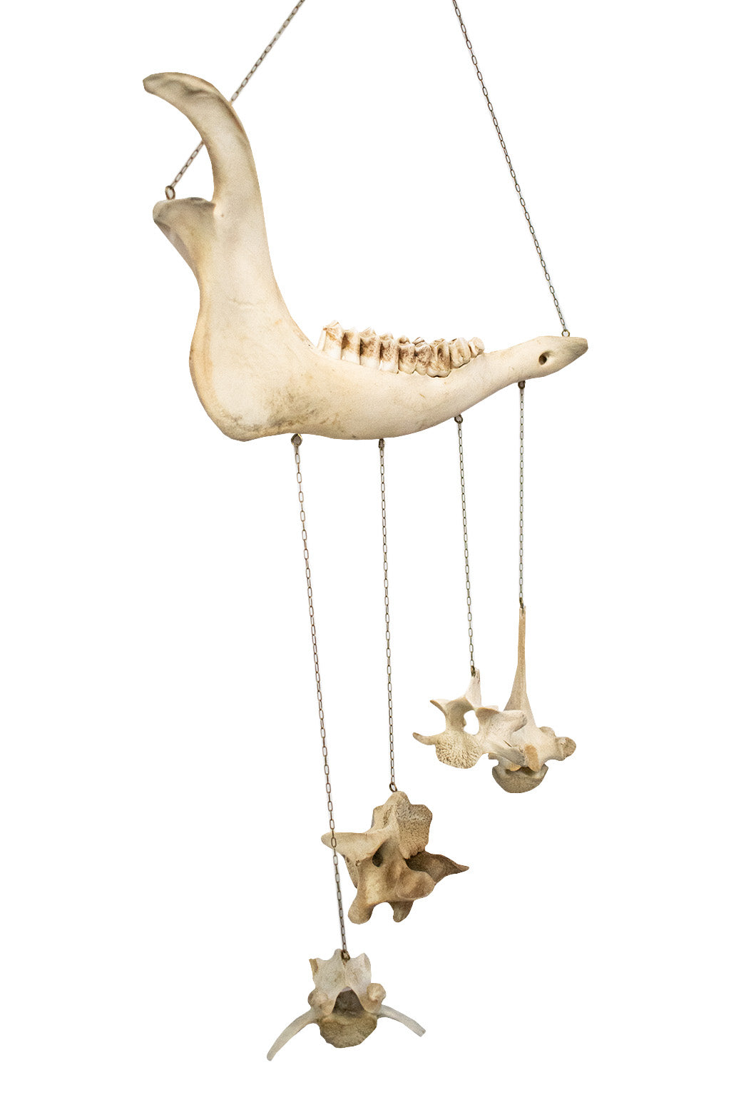 Elk Bone Wind Chime
