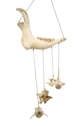 Elk Bone Wind Chime