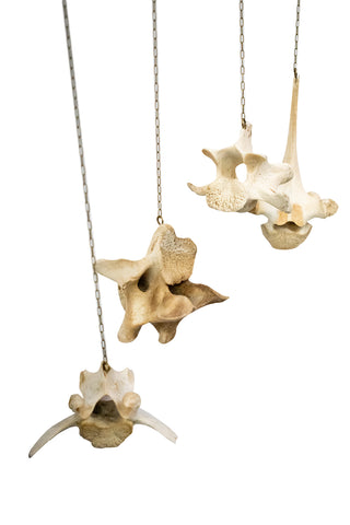 Image of Elk Bone Wind Chime