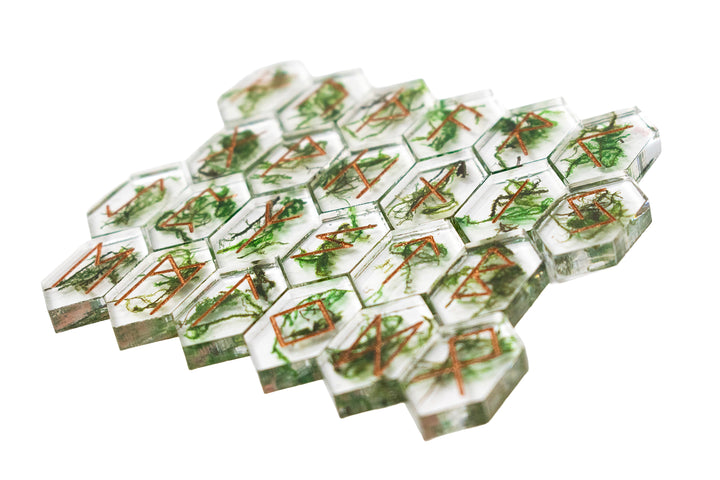 moss elder futhark rune set
