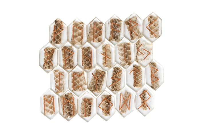 Loki snake skin elder futhark rune set