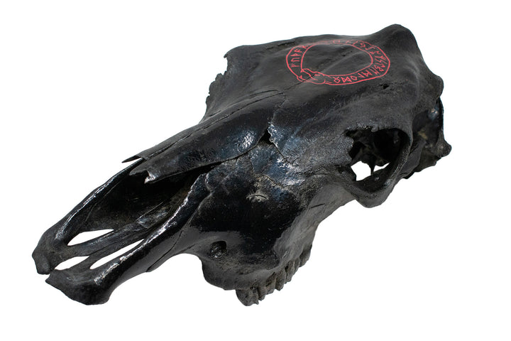 blackened cow skull runic jörmungandr