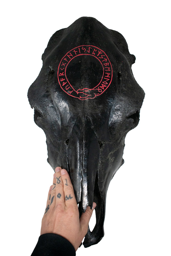 blackened cow skull runic jörmungandr