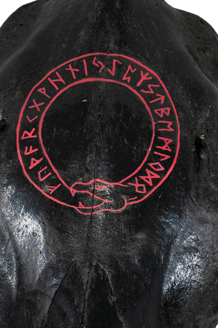 blackened cow skull runic jörmungandr