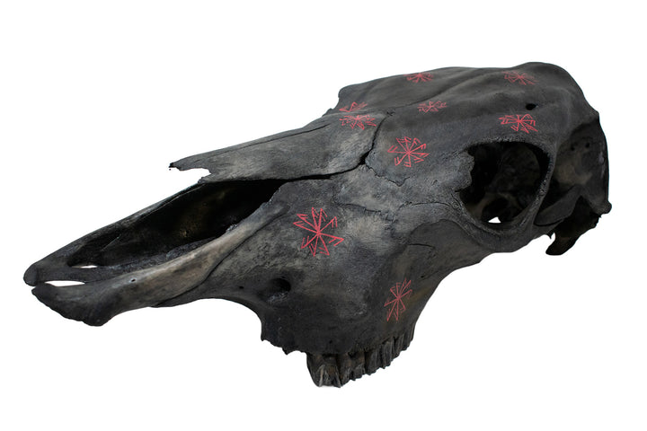 blackened cow skull connection to the gods stave