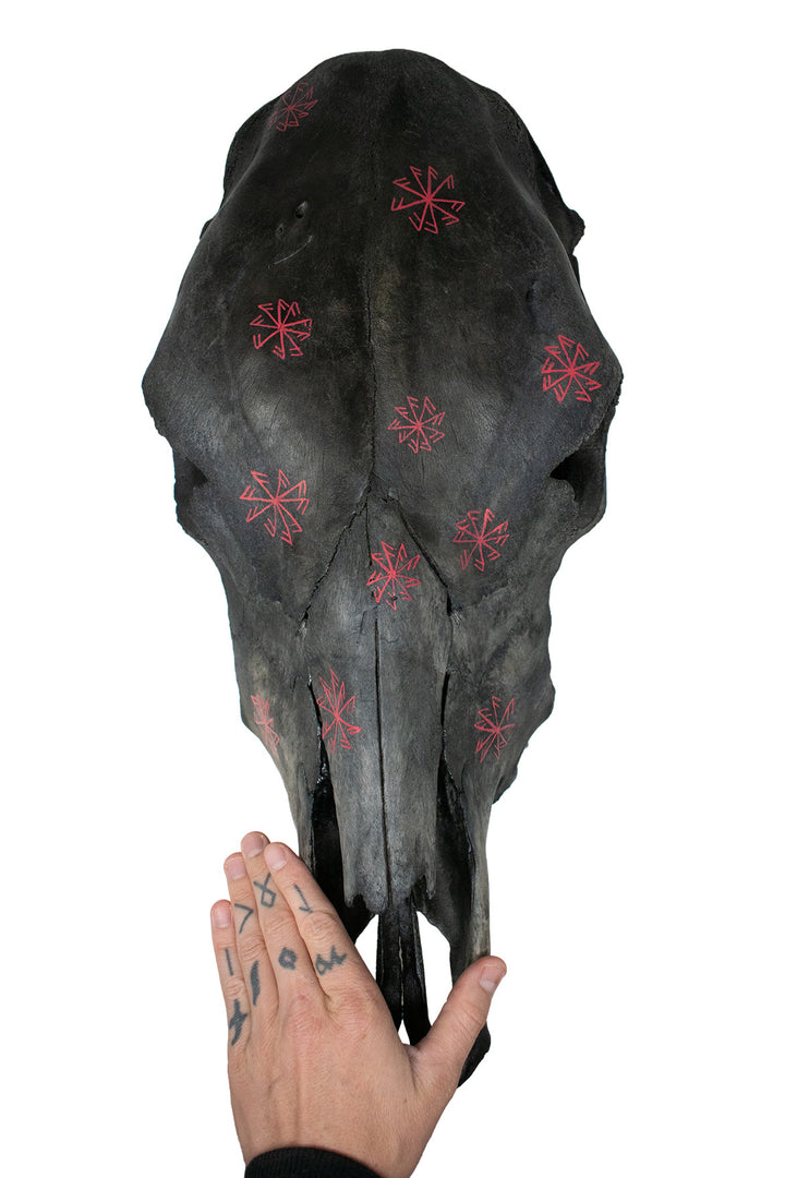 blackened cow skull connection to the gods stave