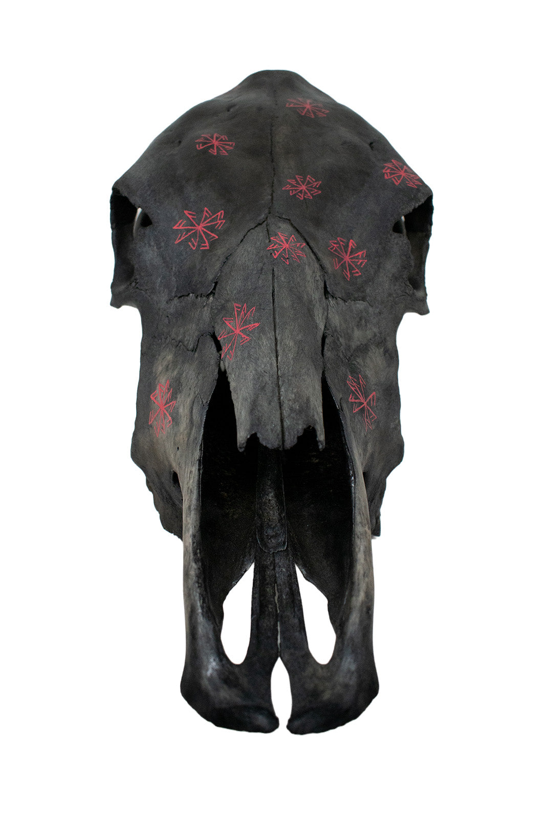 blackened cow skull connection to the gods stave