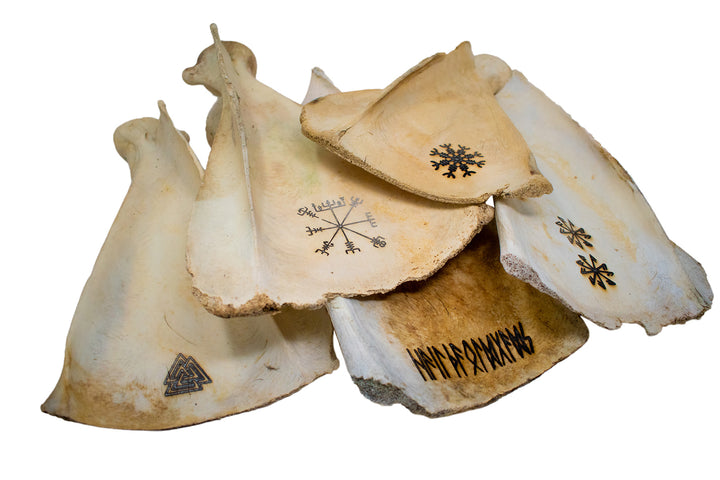 elk scapula incense dish