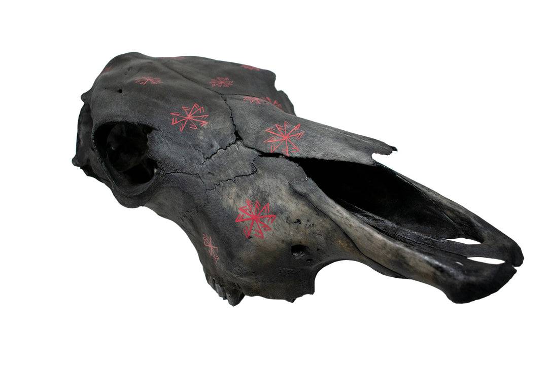 blackened cow skull home protection bindrunes