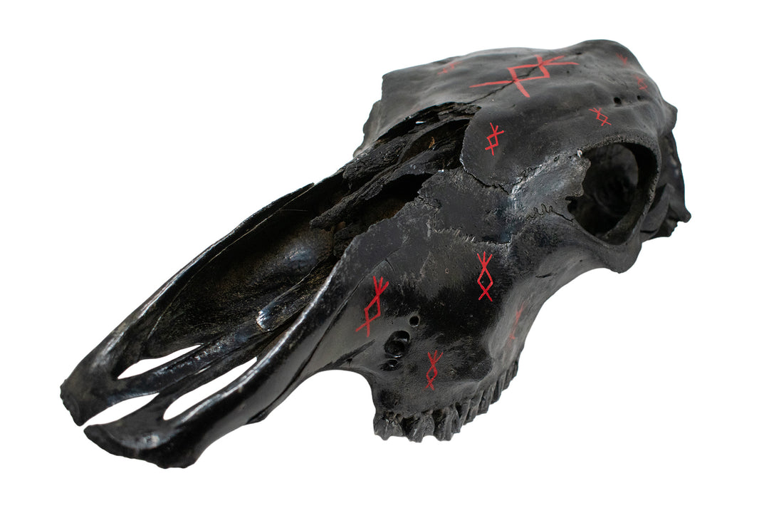 blackened cow skull home protection bindrunes