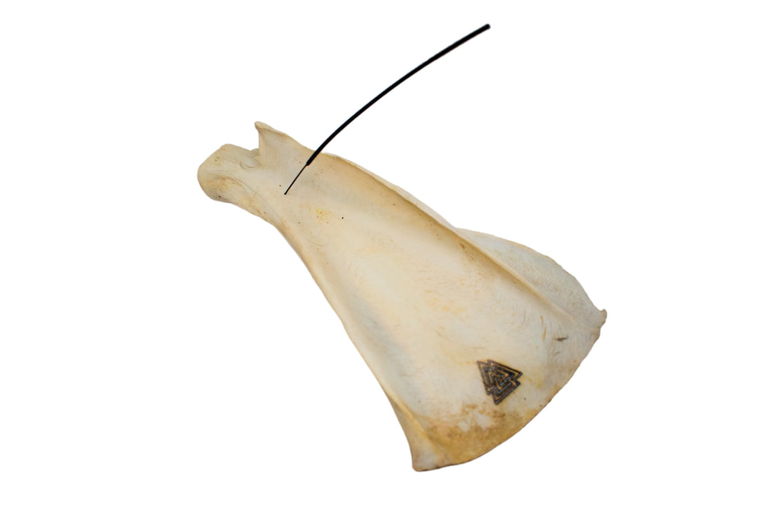 elk scapula incense dish