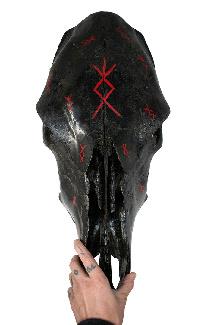 blackened cow skull home protection bindrunes