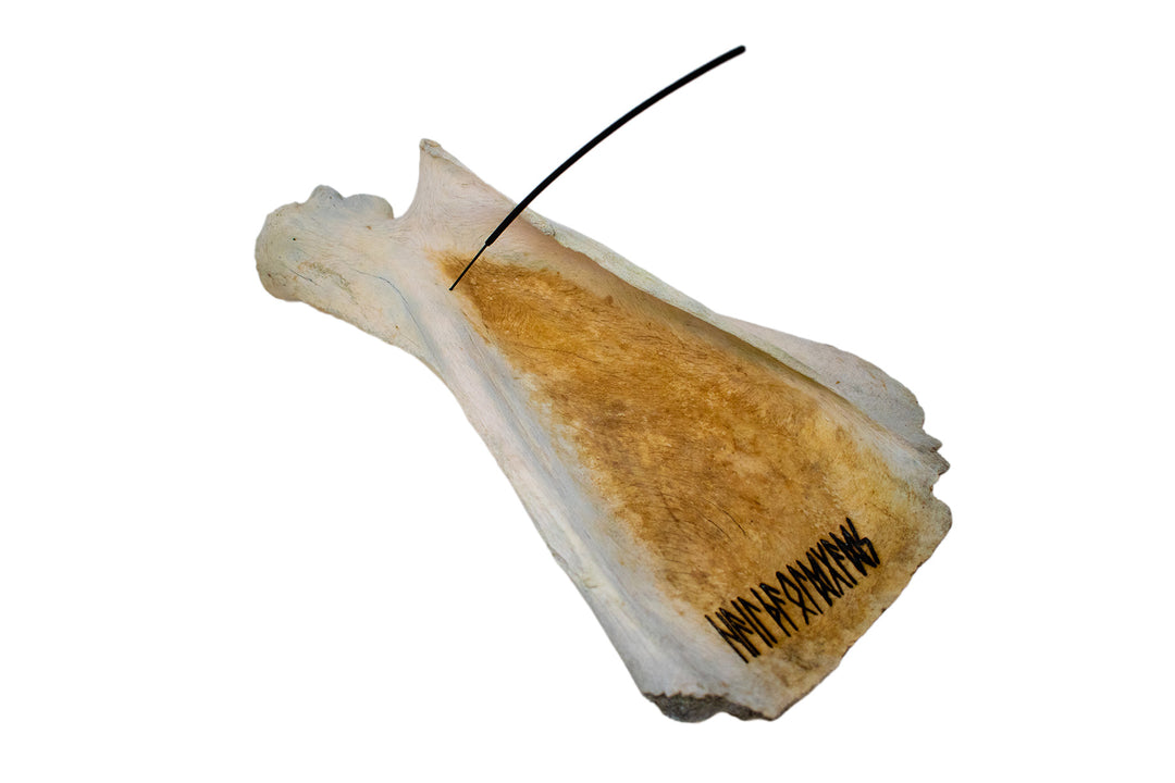 elk scapula incense dish