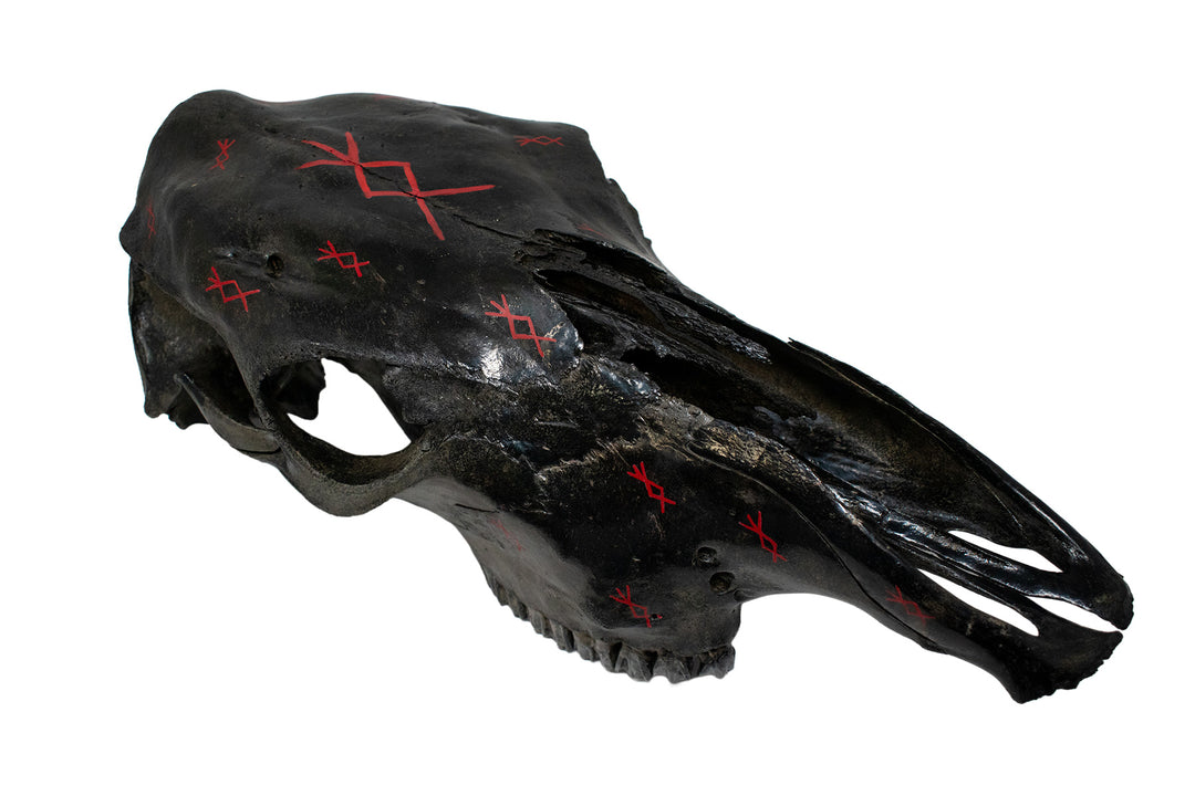 blackened cow skull home protection bindrunes