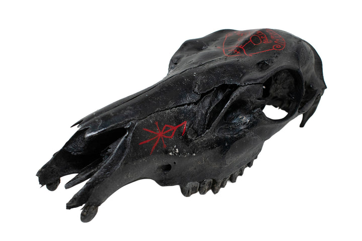 blackened elk skull loki snaptun stone altar piece