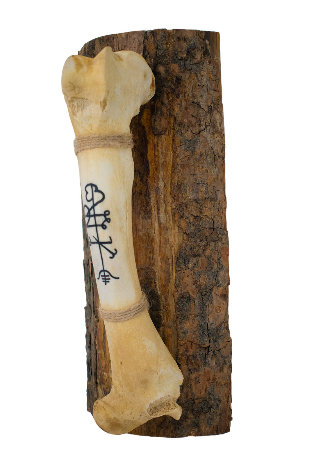 Painted deer leg bone – lukkustafir stave