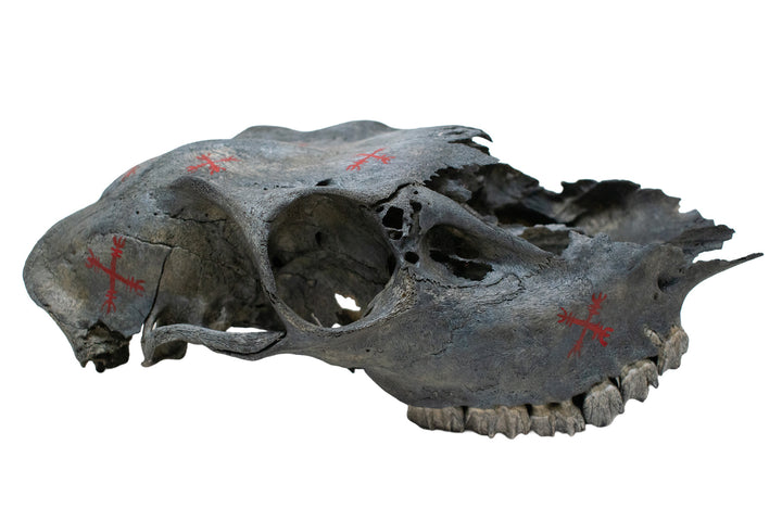 ward off negative forces blackened elk skull
