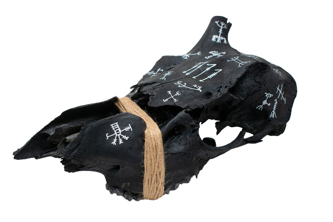blackened elk skull icelandic magical staves
