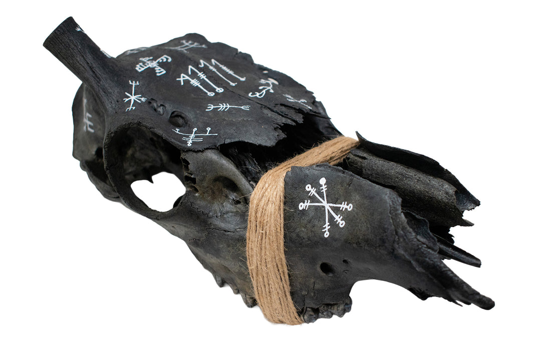 blackened elk skull icelandic magical staves