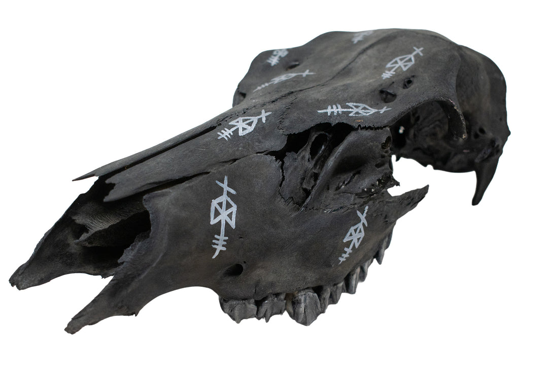 blackened elk skull with Odin invocation bindrunes