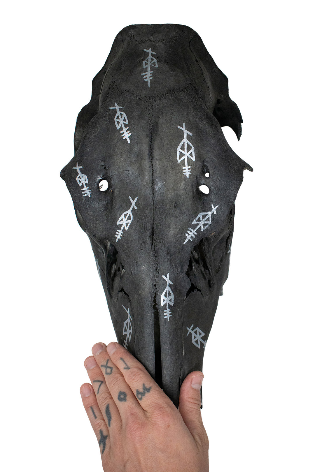 blackened elk skull with Odin invocation bindrunes