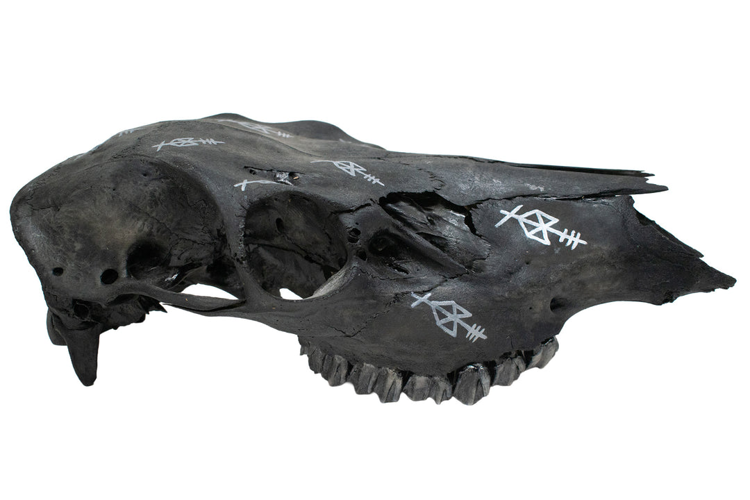 blackened elk skull with Odin invocation bindrunes