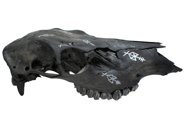 blackened elk skull with Odin invocation bindrunes