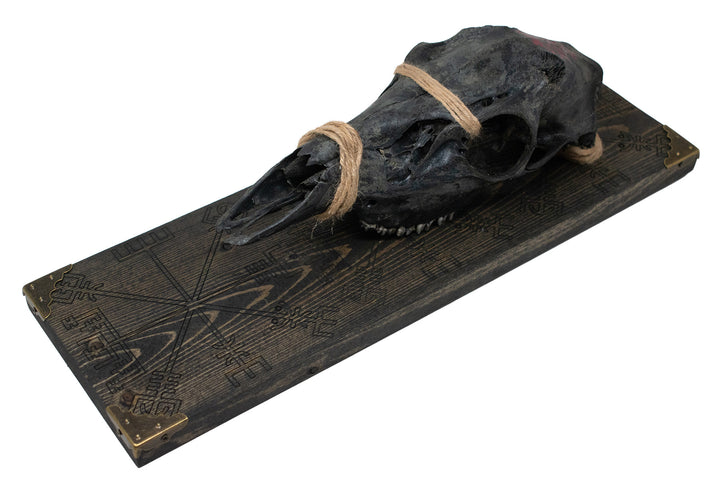 blackened deer skull vegvísir wall hanger