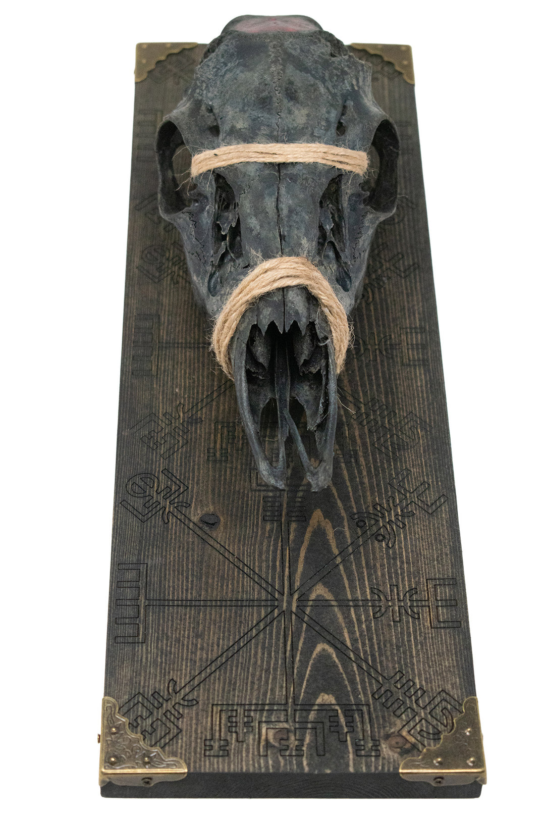 blackened deer skull vegvísir wall hanger