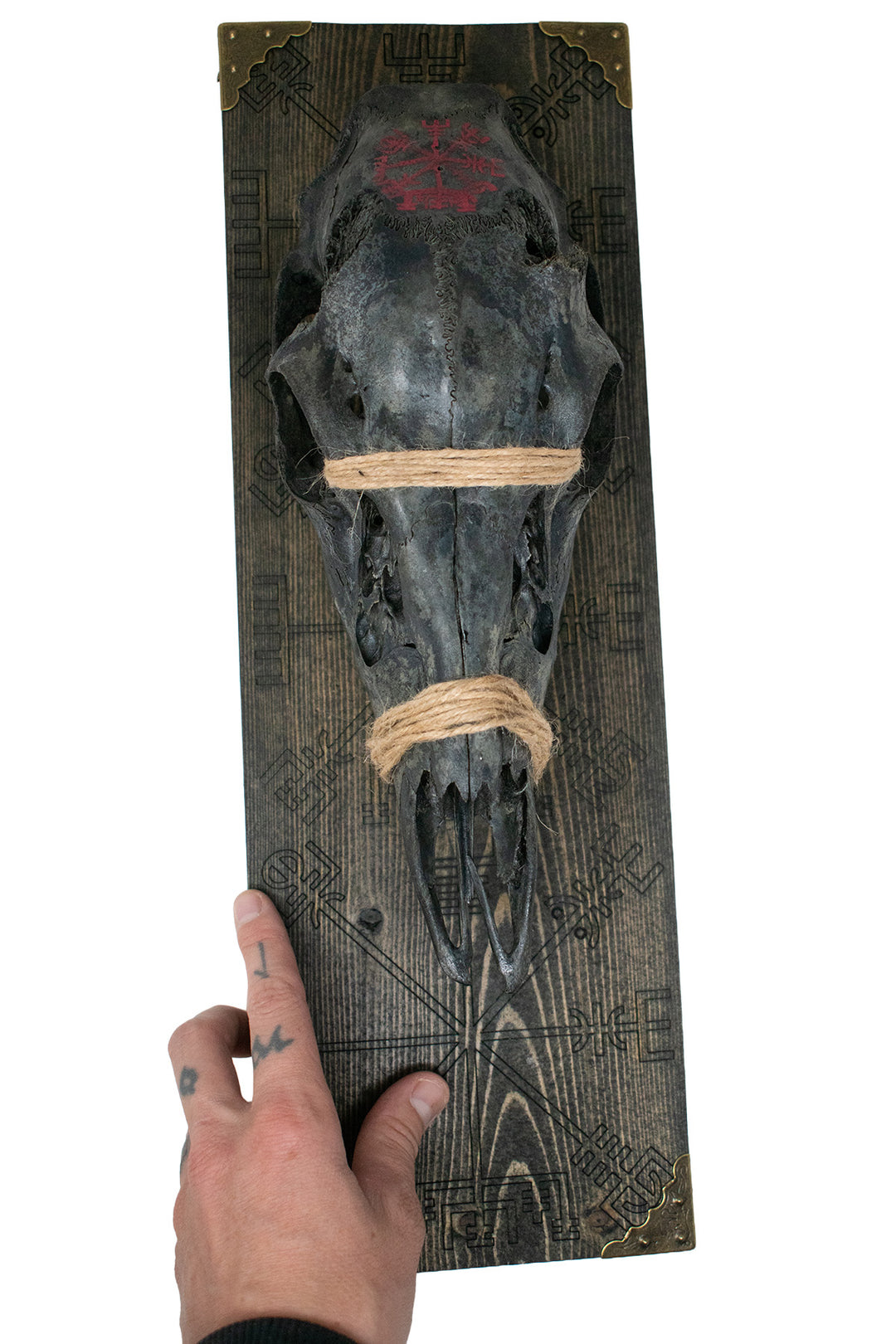 blackened deer skull vegvísir wall hanger
