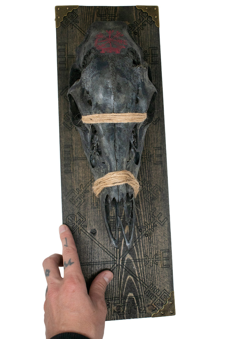 blackened deer skull vegvísir wall hanger
