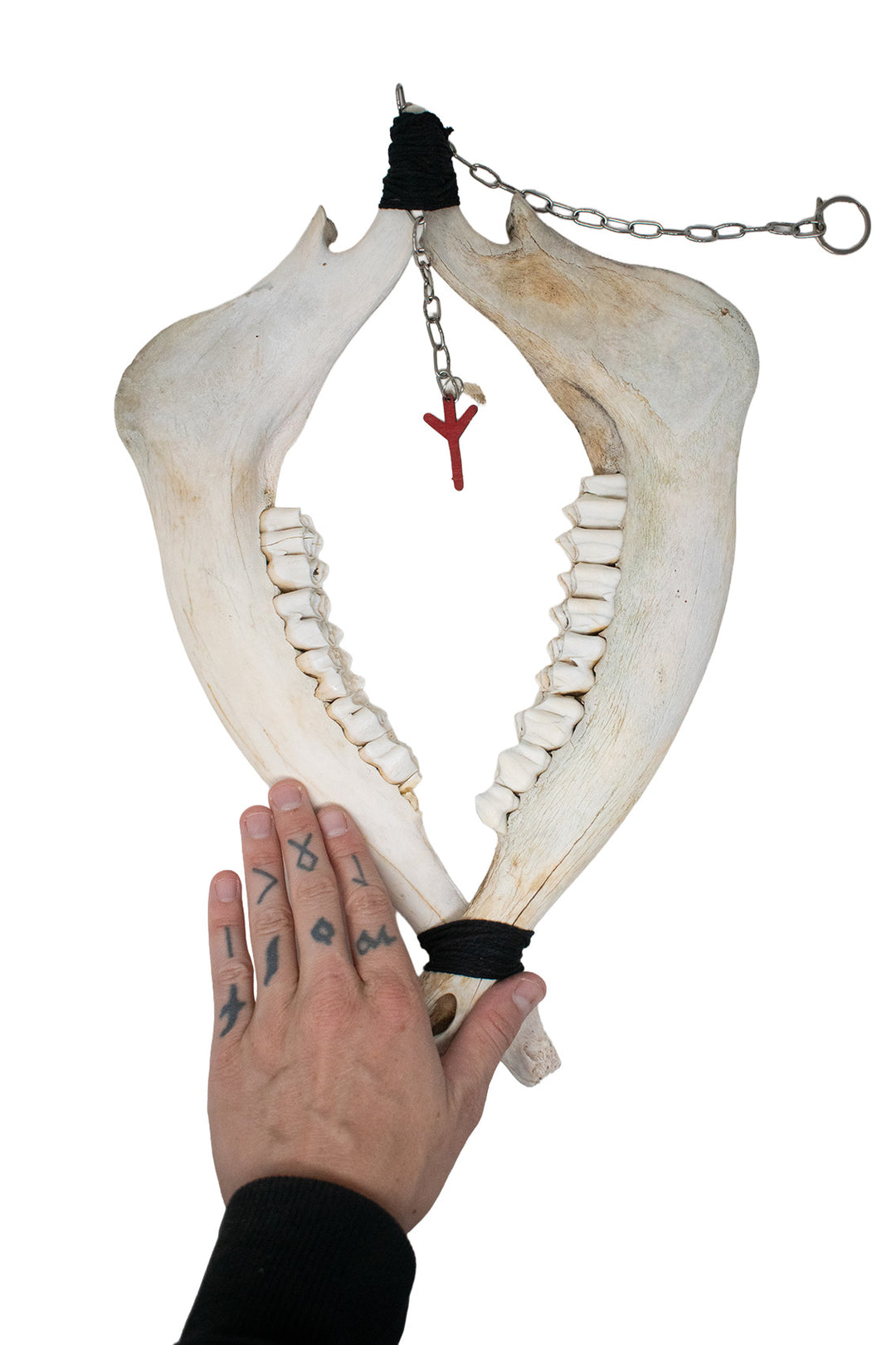 elk jawbone algiz wind chime