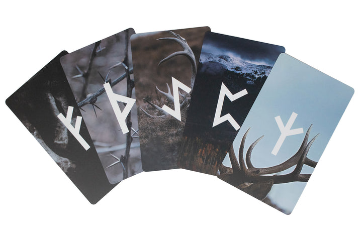 elder futhark rune card deck