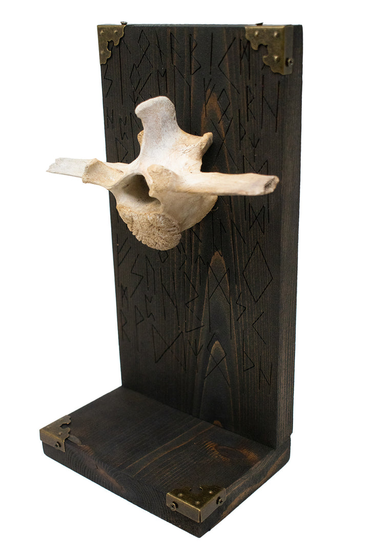 Elk Vertebra Elder Futhark Rune Altar