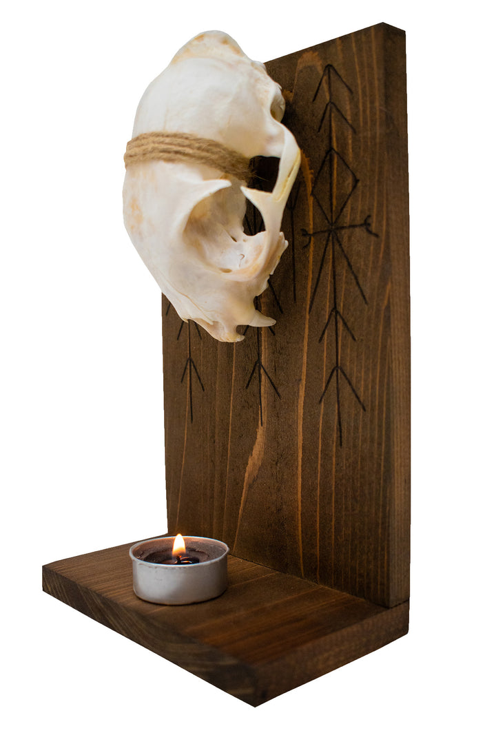 home protection bind rune and bobcat skull altar