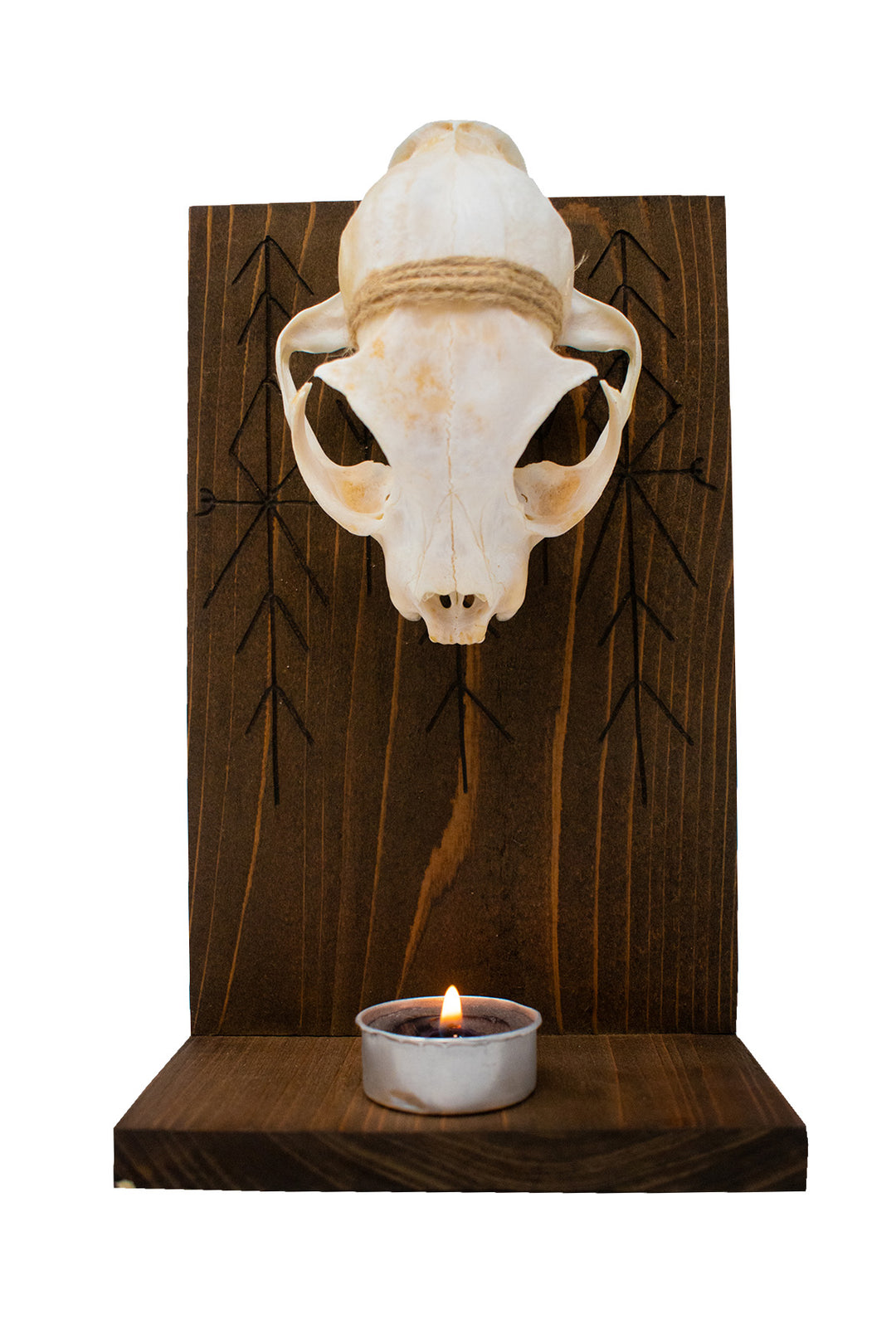 home protection bind rune and bobcat skull altar